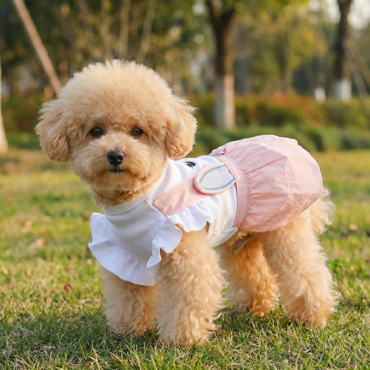 Personalized Name Easter Pet Bunny Princess Outfit | inCloth33