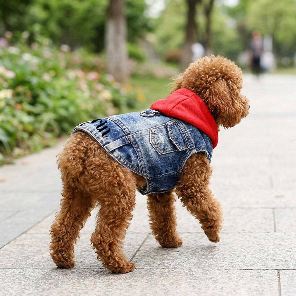 Personalisierte Denim Kapuzenjacke für Haustiere | inCloth60